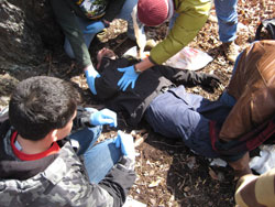 wilderness rescue training