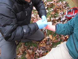 wilderness rescue training